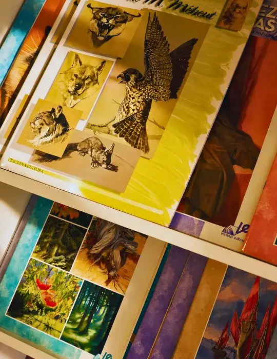 Revistas de desenho e pintura na estante da loja